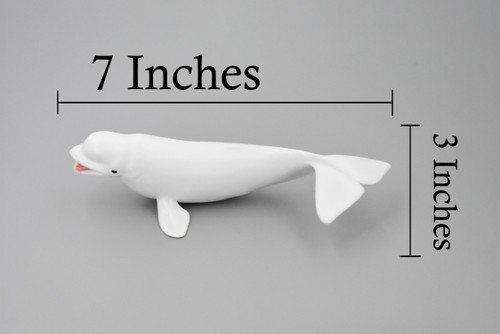 Whale, Beluga, White Whale, Museum Quality, Rubber, Hand Painted, Realistic Toy Figure, Model, Replica, Kids, Educational, Gift,     7"      CH380 BB142 