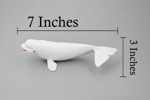 Beluga Whale, Cetacean, Marine Mammal, Museum Quality, Hand Painted, Educational, Rubber Animal, Realistic Toy Figure, Diorama Model, Kids, Gift,   7 Inches. 