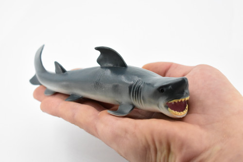 Shark, Great White, G.W. Shark, Museum Quality, Hand Painted, Rubber Fish, Realistic Toy Figure, Model, Replica, Kids, Educational, Gift,       7"      CH384 BB143
