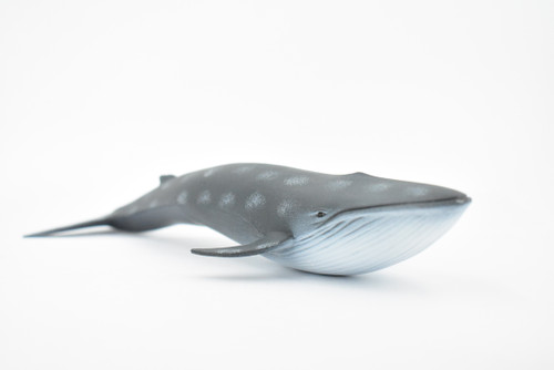 Blue Whale, Marine Mammal, Museum Quality, Hand Painted, Educational, Rubber Animal, Realistic Toy Figure, Diorama Model, Kids,  9 Inches.
