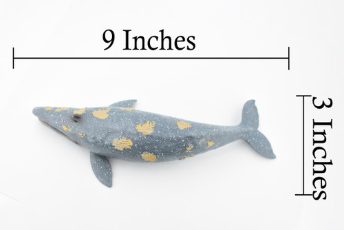 Grey Whale, Marine Mammal, Museum Quality, Hand Painted, Educational, Rubber Animal, Realistic, Diorama Model, Toy Figure, Kids, 9 Inches.