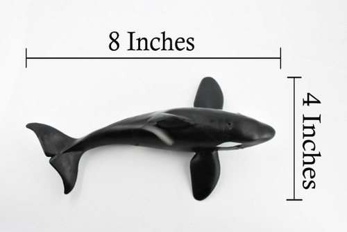 Orca, Killer Whale, Marine Mammal, Museum Quality, Hand Painted, Educational, Rubber Animal, Realistic, Diorama Model, Toy Figure, Kids,  8 Inches. 