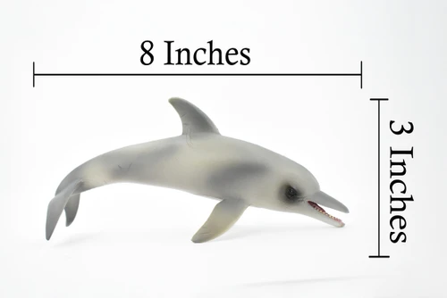 Dolphin, Porpoise, Cetacea, Marine Mammal, Museum Quality, Hand Painted, Realistic Toy Figure, Diorama Model, Educational,  8 Inches. 