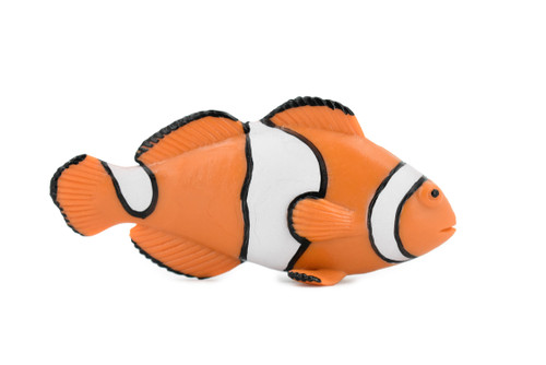 Fish, Clownfish, Anemonefish, Museum Quality, Hand Painted, Rubber Fish, Realistic Toy Figure, Model, Replica, Kids, Educational, Gift,    4 1/2"     CH466 BB151