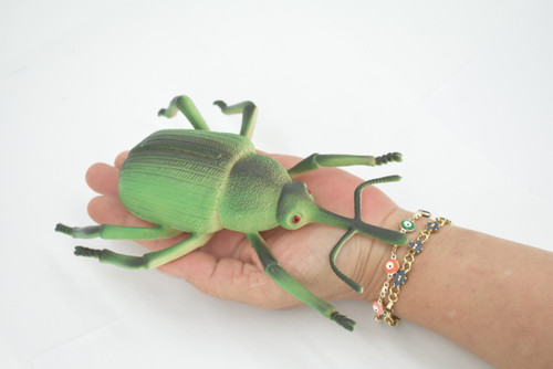 Beetle, Bearded Weevil, Rhinostomus barbirostris, Rubber Insect, Educational, Toy, Kids, Realistic Figure, Lifelike Model, Figurine, Replica, Gift,