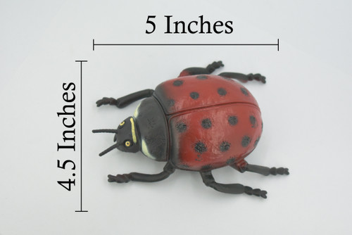 Ladybug, Beetle, Coccinellidae, Lady bug, Hand Painted, Rubber Insect, Educational, Toy, Kids, Realistic Figure, Lifelike Model, Figurine, Replica, Gift