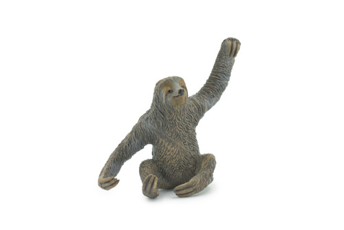 Three Toed Sloth, Primate, Arboreal mammal, Museum Quality, Educational, Hand Painted, Rubber Animal, Diorama Model, Kids, Toys, Gift,   4 Inches.
