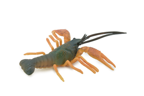 Crawfish, Crayfish, Museum Quality, Hand Painted, Rubber Crustaceans, Educational, Realistic Toy, Figure, Model, Replica, Kids, Lifelike,  Gift,       7"    CH476 BB153
