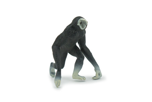 Gibbon, White Cheeked Gibbons, Lesser Apes, Hand Painted, Rubber Primate, Realistic Toy Figure, Model, Replica, Kids, Educational, Gift,     2 1/2"     CH477 BB153