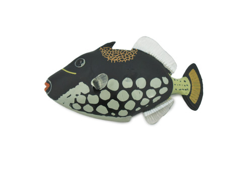 Fish, Clown Triggerfish, Tropical, Museum Quality, Hand Painted, Rubber, Trigger Fish, Realistic, Figure, Model, Toy, Kids, Educational, Gift,   3 1/2"     CH519 BB158