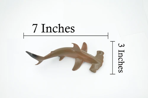Hammerhead Shark, Museum Quality, Educational, Rubber Fish, Hand Painted, Realistic Toy Figure, Diorama Model, Kids, Educational, Gift,    7 Inches.  