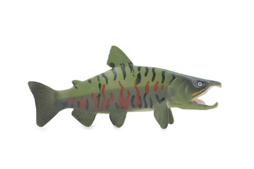 Chum Salmon, Spawning, Museum Quality, Rubber Fish, Educational, Realistic, Hand Painted, Figure, Lifelike, Toy, Kids, Replica, Gift,      5 1/2"