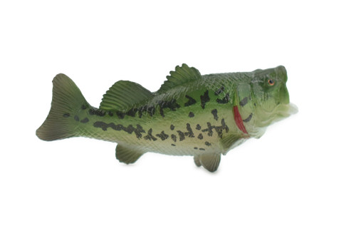 Bass, Largemouth Bass, Museum Quality, Hand Painted, Rubber Fish Figure, Realistic  Model, Replica, Kids, Educational, Gift, 6 CH236 BB120
