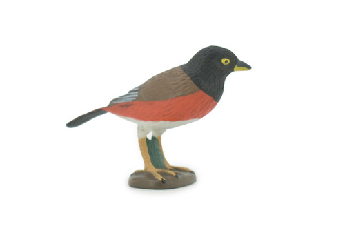 Bird, American robin, Museum Quality, Hand Painted, Rubber, Realistic, Figure, Model, Replica, Toy, Kids, Educational, Gift,        3"        CH717 BB174 
