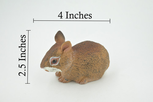 Rabbit, Hare, Cottontail Rabbit, Museum Quality, Hand Painted, Rubber, Animal, Toy, Figure, Realistic, Model, Replica, Kids, Educational, Gift,     4"     CH722 BB176