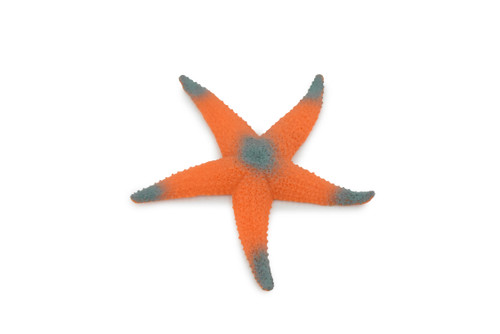 Starfish, Orange Sea Star, Ocean, Sea Life, Plastic Figure, Model, Realistic Replica, Educational, Figurine, Animal, Life Like, Gift,     4"    F6019 B378