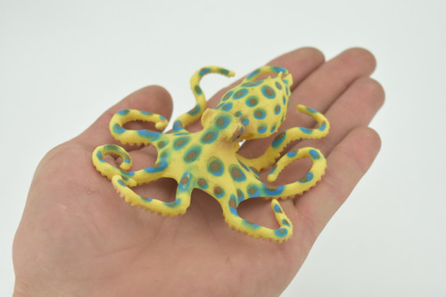 Octopus, Blue-ringed octopuses, Octopodes, Octopoda,Museum Quality, Hand Painted, Hard Rubber, Realistic, Model, Replica, Kids, Educational, Gift,   4 1/2"  CH289  BB179