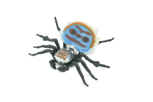 Peacock Spider, Jumping Spiders, Maratus, Museum Quality, Hand Painted, Realistic, Rubber, Insect, Figure, Model, Toy, Kids, Educational, Gift    4 1/2"    CH300 BB181