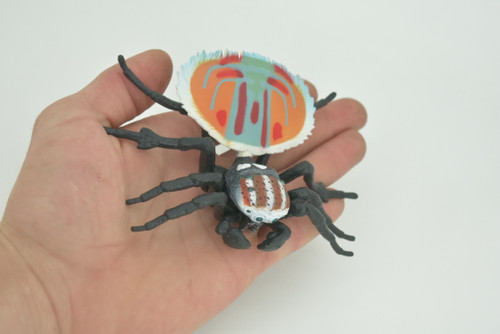 Peacock Spider, Jumping Spiders, Maratus, Museum Quality, Hand Painted, Realistic, Rubber, Insect, Figure, Model, Toy, Kids, Educational, Gift    4 1/2"    CH300 BB181