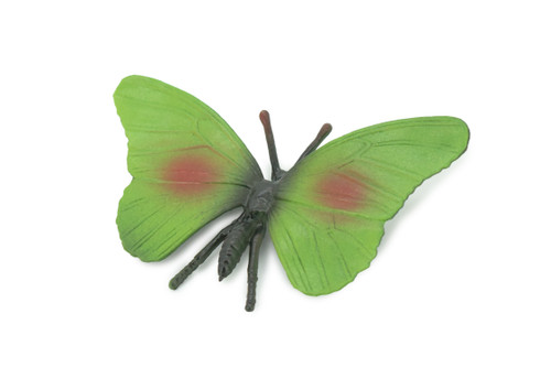 Butterfly, Green, Hand Painted, Rubber Insect, Educational, Toy, Kids, Realistic Figure, Lifelike Model, Replica,  5 1/2 Inches.