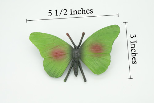 Butterfly, Green, Hand Painted, Rubber Insect, Educational, Toy, Kids, Realistic Figure, Lifelike Model, Replica,  5 1/2 Inches.