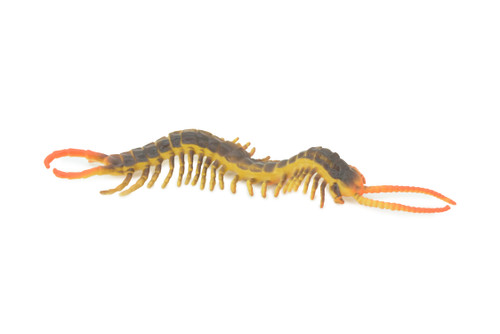 Centipede, Brown, Predatory arthropods, Hand Painted, Rubber Insect, Educational, Realistic Figure, Lifelike Model, 7 Inches Long.