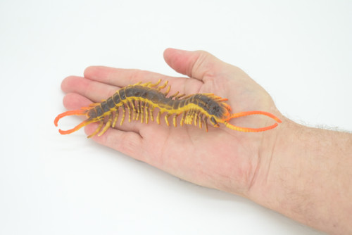 Centipede, Brown, Predatory arthropods, Hand Painted, Rubber Insect, Educational, Realistic Figure, Lifelike Model, 7 Inches Long.