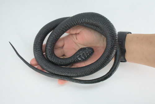 Black Mamba Snake, Very Nice Rubber Reptile Design, Educational, Toy, Kids, Realistic Figure, Lifelike, Replica, Gift,    42"   WR25 BB316