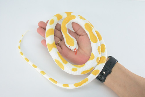 Albino Python Snake, Very Nice Rubber Reptile Design, Educational, Toy, Kids, Realistic Figure, Lifelike, Replica, Gift,    42"   WR26 BB316