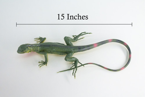 Iguana, High Quality, Hand Painted, Hard Rubber Lizard, Realistic Reptile, Toy Figure, Model, Replica, Kids, Educational, 15 Inches Long.