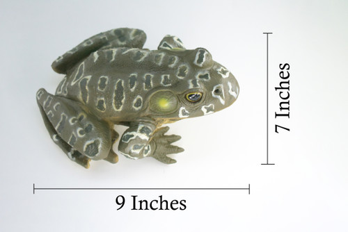 Bull Frog, High Quality, Hand Painted, Hard Rubber Frog, Realistic Amphibian, Toy Figure, Model, Replica, Kids, Educational, 9 Inches.