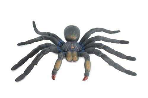 Tarantula Spider, Jumbo, Hand Painted, High Quality, Hard Rubber Spider, Realistic Insect, Toy Figure, Model, Replica, Kids, Educational, Gift, 14" IM22 B656