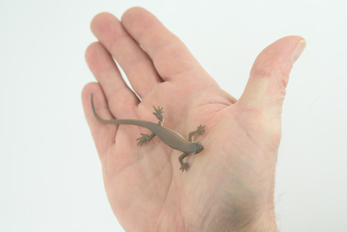 Common Grass Lizard, Educational, Hand Painted, Rubber Reptile, Museum Quality, Diorama, Toy, Kids, Gift, 4 Inches. CH744 BB184
