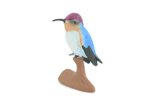 Hummingbird, Educational, Hand Painted, Museum Quality, Rubber Bird, Realistic, Diorama, Toy, Kids, Gift, 2 1/2 Inches. CH747 BB184