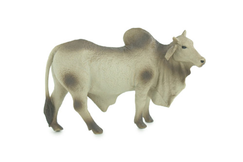 Brahman Bull, Zebuine-taurine, Museum Quality, Educational, Hand Painted, Rubber Cattle, Realistic, Diorama, Toy, Kids, Gift, 5 1/2 Inches. CH779 BB182