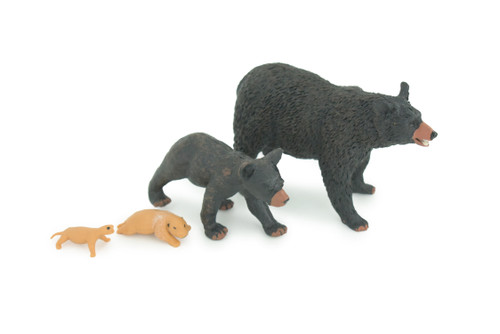 Black Bear Life Cycle, 4 Piece Set, Museum Quality, Hand Painted, Educational, Rubber, Realistic, Diorama, Toys, Kids, Gift, 4 Inches. CH794 BB187