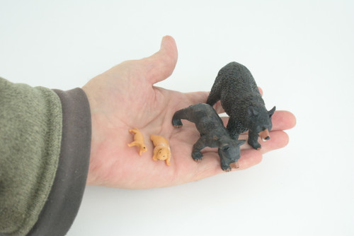 Black Bear Life Cycle, 4 Piece Set, Museum Quality, Hand Painted, Educational, Rubber, Realistic, Diorama, Toys, Kids, Gift, 4 Inches. CH794 BB187