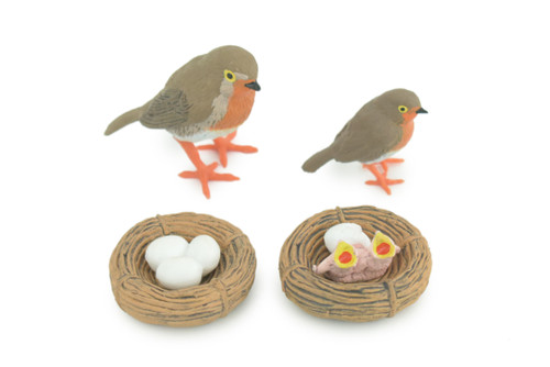 Robin Bird Life Cycle, 4 Piece Set, Museum Quality, Hand Painted, Educational, Rubber, Realistic, Diorama, Toys, Kids, Gift, 3 Inches. CH797 BB187