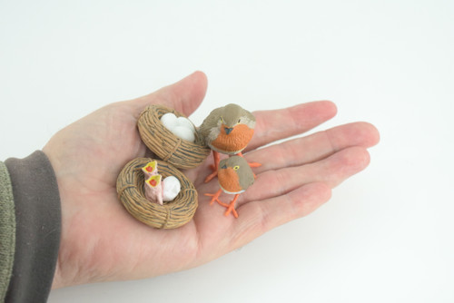 Robin Bird Life Cycle, 4 Piece Set, Museum Quality, Hand Painted, Educational, Rubber, Realistic, Diorama, Toys, Kids, Gift, 3 Inches. CH797 BB187