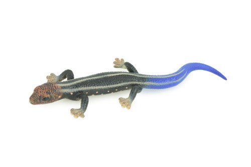 Phelsuma Gecko, Blue-tailed day gecko, Museum Quality, Educational, Hand Painted, Rubber, Realistic Reptile, Diorama, Toy, Kids, Gift, 9 Inches. CH798 BB187