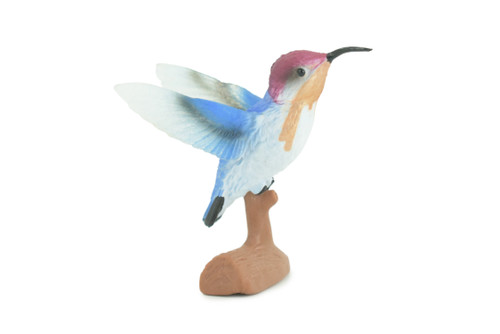 Hummingbird, Educational, Hand Painted, Museum Quality, Very Nice Rubber Bird, Realistic, Diorama, Toy, Kids, Gift, 3 Inches. CH833 BB194