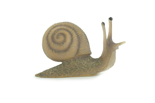 Garden Snail, Scaly-foot Gastropod, Museum Quality, Hand Painted, Brown Snail, Rubber mollusk, Realistic, Toy, Kids, Educational, Gift, 3 Inches. CH868 BB199