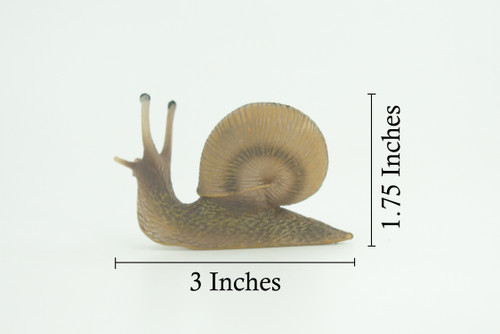 Garden Snail, Scaly-foot Gastropod, Museum Quality, Hand Painted, Brown Snail, Rubber mollusk, Realistic, Toy, Kids, Educational, Gift, 3 Inches. CH868 BB199