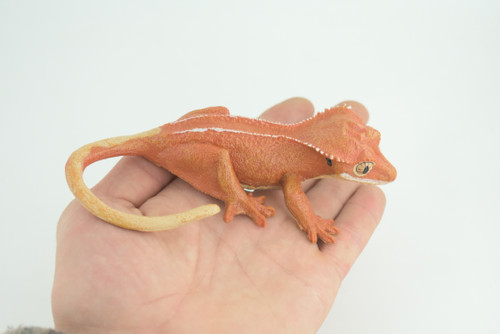 Crested Gecko, Eyelash Gecko, Museum Quality, Educational, Hand Painted, Rubber Lizard, Realistic Reptile, Diorama, Toy, Kids, Gift, 5 1/2 Inches. CH902 BB202