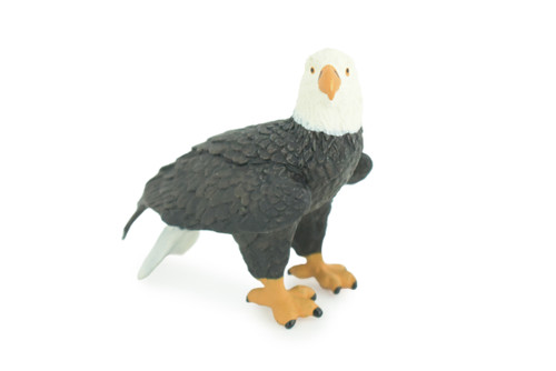 Bald Eagle, Hand Painted, Educational, High Quality Rubber Bird, Realistic, Raptor, Bird of Prey, Diorama, Toys, Kids, Gift, 2 1/2 Inches. CH923 BB204