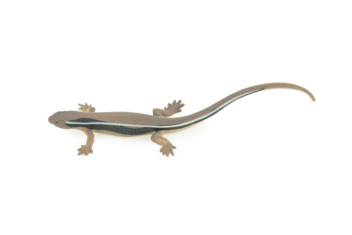 Lizard, Wall Skink, Hand Painted, Museum Quality, Educational, Rubber Reptile, Realistic, Diorama, Very Nice Design, Toys, Kids, Gift, 4 Inches. CH955 BB209