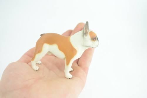 French Bulldog, Bull Dog, Hand Painted, Educational, Museum Quality, Rubber Canine, K9, Realistic, Diorama, Figure, Toys, Kids, Gift, 3 1/2 Inches. CH962 BB209