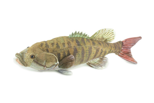 Smallmouth Bass, Realistic Stuffed Plush Fish, Bronzeback, Brown bass, Smallie, Bronze Bass, Small Mouth, Educational, Toy, Kids, Gift, 17 Inches. CC200 BB55