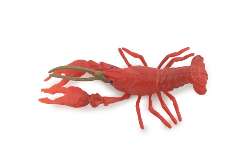  Crayfish, Crawfish, Crawdads, High Quality, Hand Painted, Rubber, Crustaceans, Realistic, Diorama, Model, Lifelike, Toy, Kids, Educational, Gift, 2 1/2 Inches. CH1018 BB218 