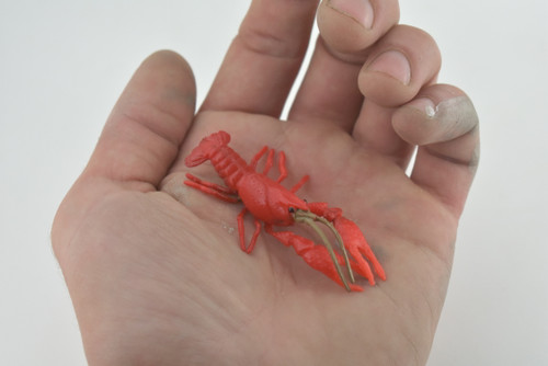  Crayfish, Crawfish, Crawdads, High Quality, Hand Painted, Rubber, Crustaceans, Realistic, Diorama, Model, Lifelike, Toy, Kids, Educational, Gift, 2 1/2 Inches. CH1018 BB218 